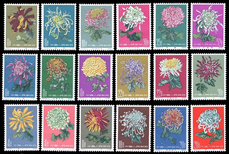 1960/1961 - Chrysanthemus, the ... 