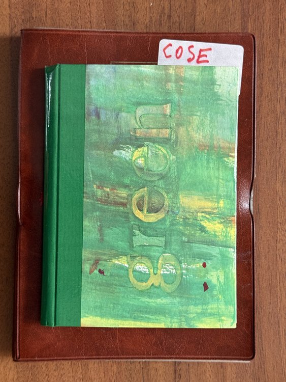 CARTOLINE 1900/1930 - Bellinsieme ... 