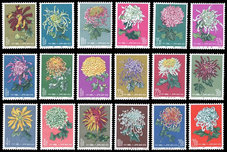 1960/1961 - Chrysanthemus, the ... 