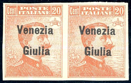 VENEZIA GIULIA 1918/19 - 20 cent. ... 