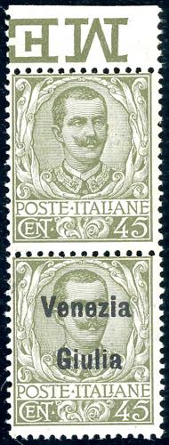 VENEZIA GIULIA 1918/19 - 45 cent. ... 