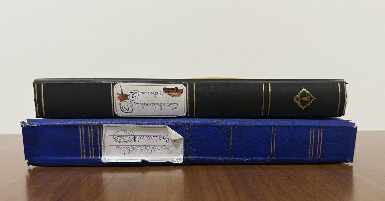 CECOSLOVACCHIA 1918/1995 - ... 