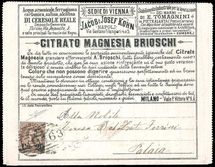 FRANCALETTERE 1891 - 20 cent. su ... 