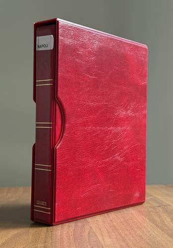 NAPOLI E PROVINCE 1858/1861 - ... 