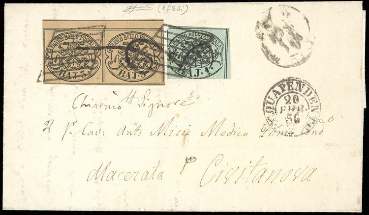 1856 - 3 baj camoscio, coppia ... 