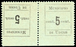 UDINE 1918 - 5 cent. verde oliva, coppia ... 