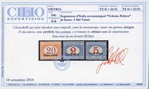 SEGNATASSE 1920/26 - Soprastampati ... 