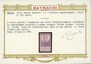 BELGIO PACCHI POSTALI 1915 - ... 