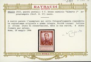BELGIO PACCHI POSTALI 1915 - ... 