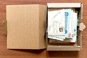 POLA/DALMAZIA/TERRE REDENTE 1867/1942 - ... 