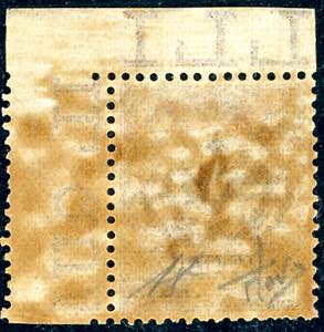 1901 - 40 cent. Floreale (74), ... 
