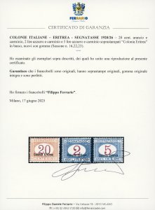 SEGNATASSE 1920/26 - Soprastampati ... 