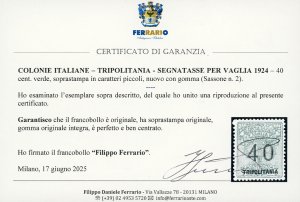 SEGNATASSE VAGLIA 1924 - 40 cent., ... 