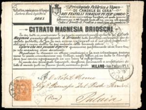 FRANCALETTERE 1892 - 20 cent. Umberto I, ... 