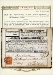 FRANCALETTERE 1892 - 20 cent. ... 