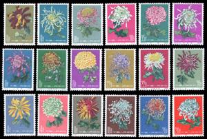 1960/1961 - Chrysanthemus, the three ... 