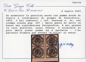 1852 - 3 baj camoscio (4c), blocco ... 