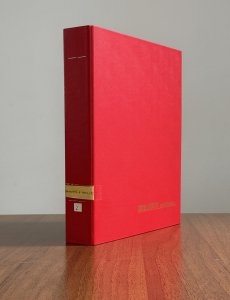 AREA ITALIANA 1915/2011 - Bellinsieme di ... 