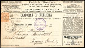 CARTOLINE DI PUBBLICITA 1890 - 20 cent. ... 