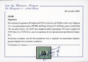 FIUME SEGNATASSE 1918 - 50 f., ... 