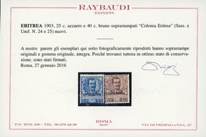 1903 - Floreale soprastampati, ... 