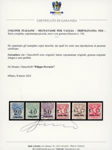 SEGNATASSE VAGLIA 1924 - Serie ... 