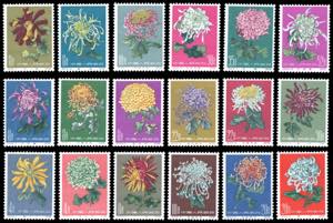 1960/1961 - Chrysanthemus, the three ... 