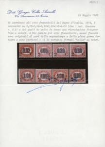 1878 - Servizio soprastampati, ... 