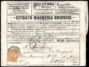 FRANCALETTERE 1887 - 18 cent. su 20 cent. ... 