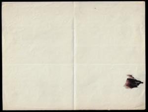 1946 - 2 z. bruno lillaceo ... 