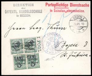 TRENTINO ALTO ADIGE-SEGNATASSE BOLZANO 1919 ... 