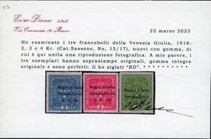 VENEZIA GIULIA 1918 - 2 k., 3 k. e ... 