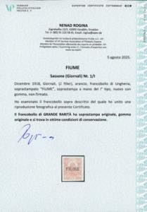 FIUME GIORNALI 1918 - 2 f. ... 