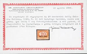 SEGNATASSE 1920/26 - Soprastampati ... 