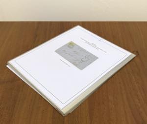 STATO PONTIFICIO 1852/1866 - Bellinsieme di ... 