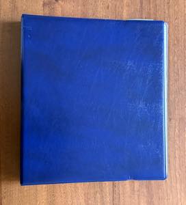 REGNO DITALIA 1921 - Bella collezione di ... 