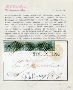 1859 - 1 baj grigiastro (2), ... 