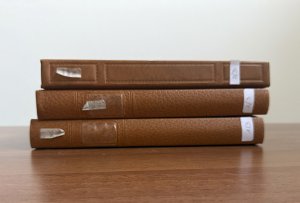 BELGIO 1920/1952 - Ben avviata collezione di ... 