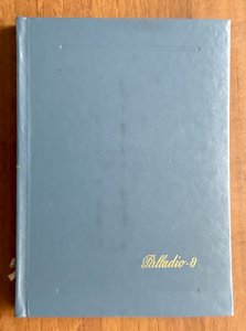 GERMANIA COLONIE 1899/1916 - Bellinsieme di ... 