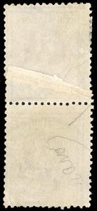 1901 - 2 cent. Floreale, coppia ... 