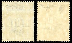 SEGNATASSE 1903 - 50 lire e 100 ... 