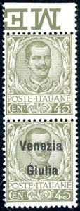 VENEZIA GIULIA 1918/19 - 45 cent. oliva, ... 