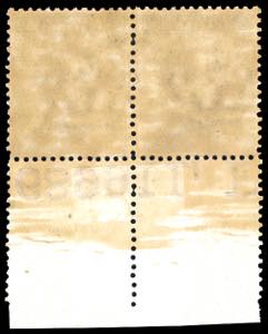 VENEZIA GIULIA SAGGI 1918 - 50 ... 