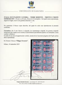 TRENTO E TRIESTE ESPRESSI 1919 - ... 
