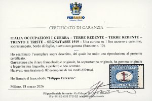 TRENTO E TRIESTE SEGNATASSE 1919 - ... 