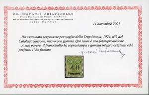 SEGNATASSE VAGLIA 1924 - Serie ... 