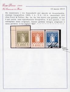 GROENLANDIA PACCHI POSTALI 1905 - ... 