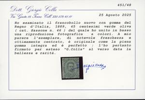 1889 - 45 cent. Umberto I (46), ... 