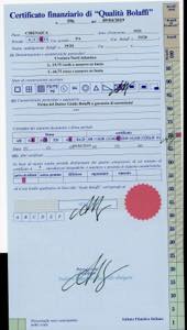 POSTA AEREA 1933 - Crociera Nord ... 