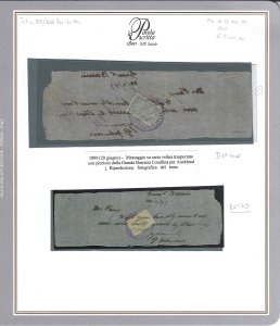 NUOVA ZELANDA PIGEONGRAM 1899 - ... 